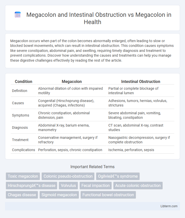 Megacolon vs Megacolon and Intestinal Obstruction in Health - What is The Difference?