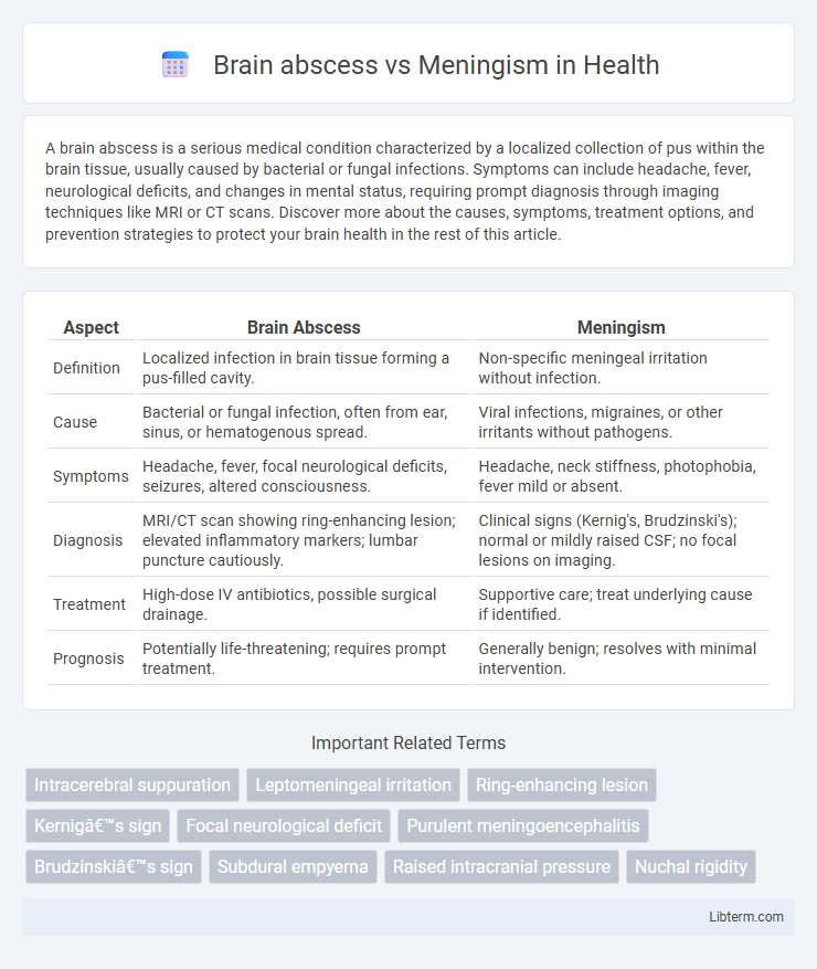 Meningism vs Brain abscess in Health - What is The Difference?