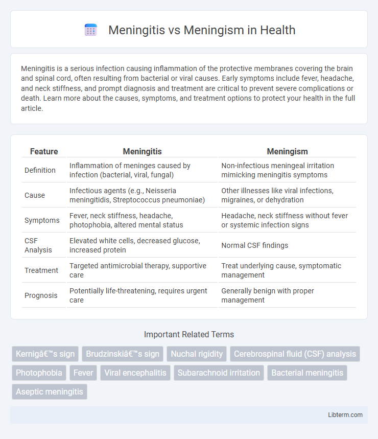 Meningism vs Meningitis in Health - What is The Difference?