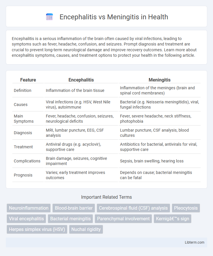 Meningitis vs Encephalitis in Health - What is The Difference?