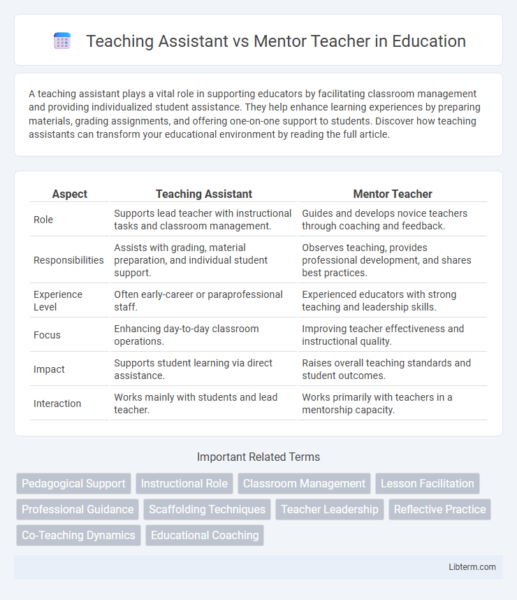 Mentor Teacher vs Teaching Assistant in Education - What is The Difference?