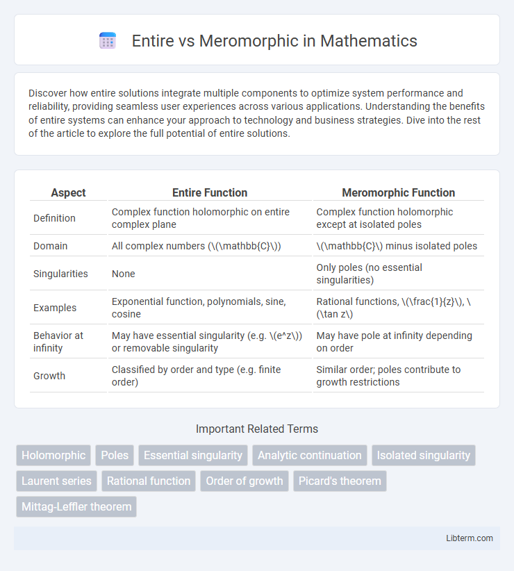 Meromorphic vs Entire in Mathematics - What is The Difference?