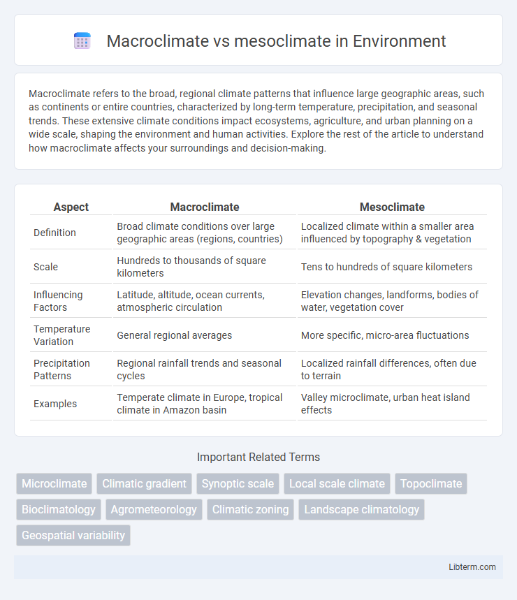 mesoclimate vs Macroclimate in Environment - What is The Difference?