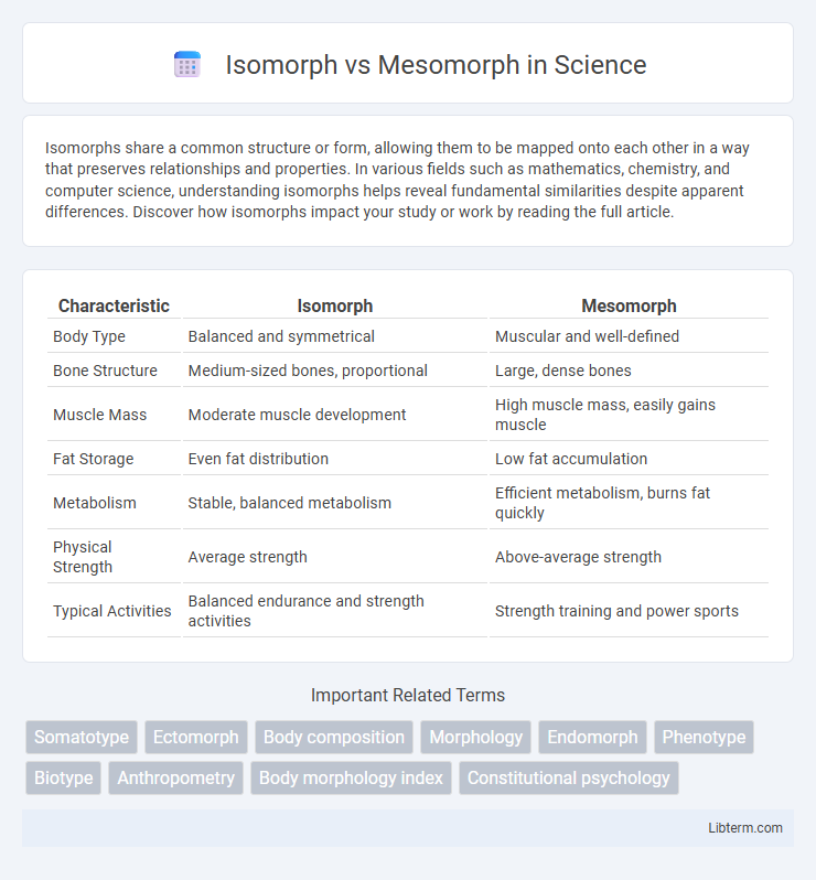 Mesomorph vs Isomorph in Science - What is The Difference?
