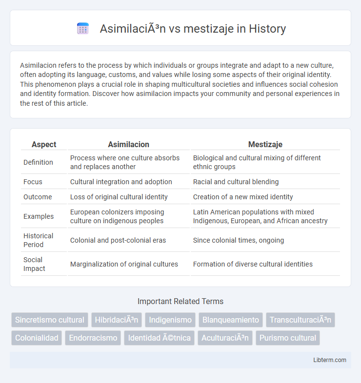 mestizaje vs Asimilación in History - What is The Difference?