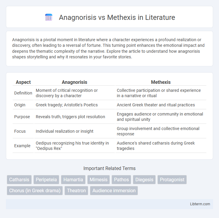 Methexis vs Anagnorisis in Literature - What is The Difference?