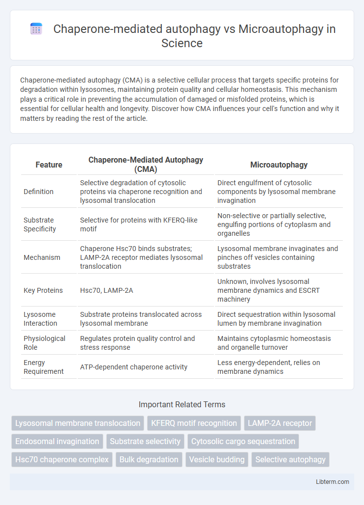 Microautophagy vs Chaperone-mediated autophagy in Science - What is The Difference?