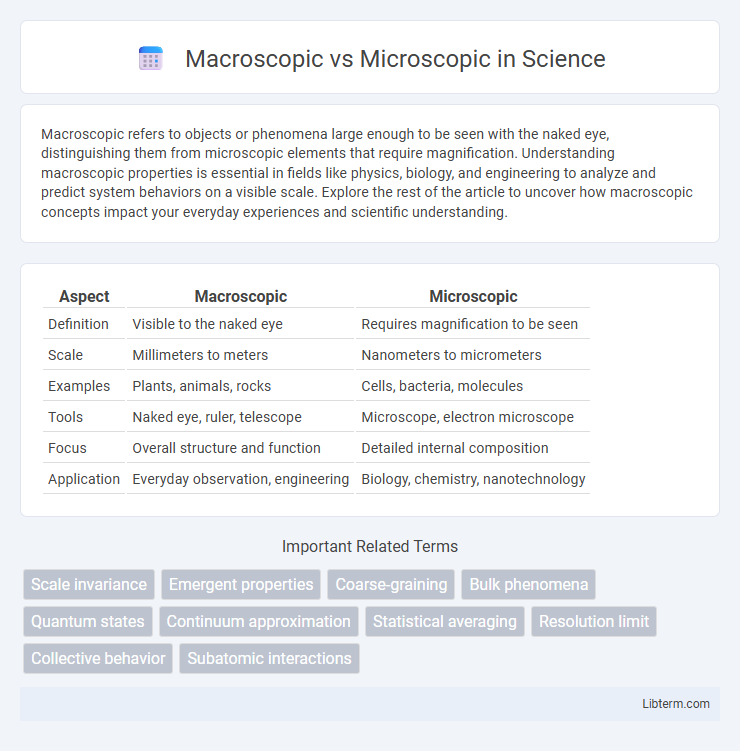 Microscopic vs Macroscopic in Science - What is The Difference?