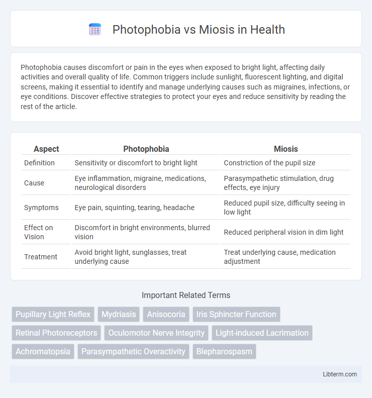 Miosis vs Photophobia in Health - What is The Difference?
