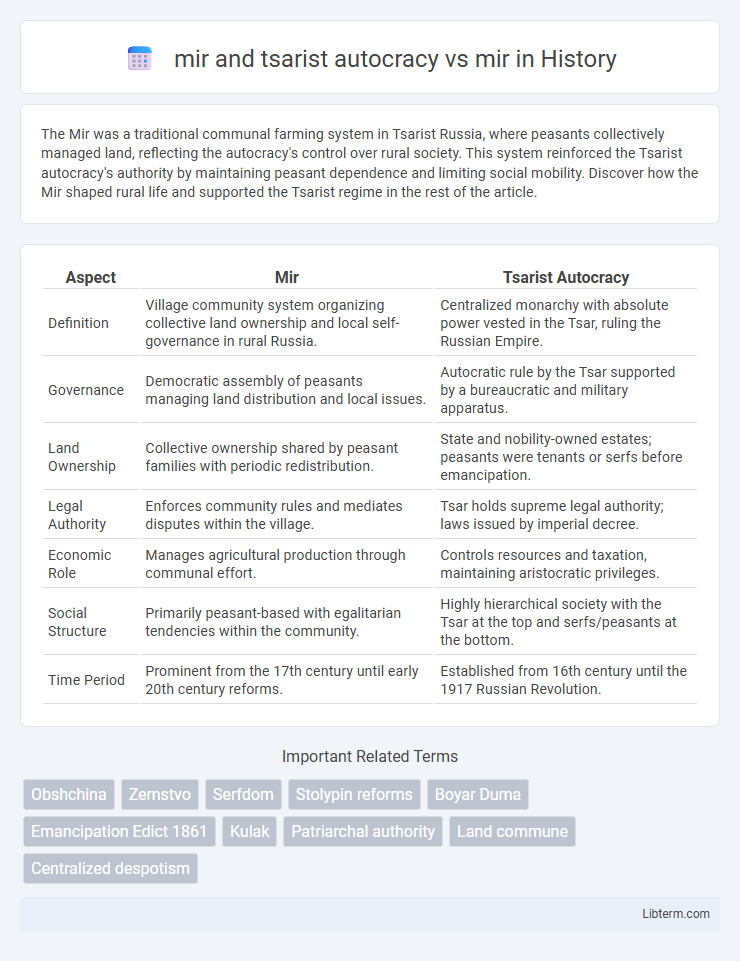 mir vs mir and tsarist autocracy in History - What is The Difference?
