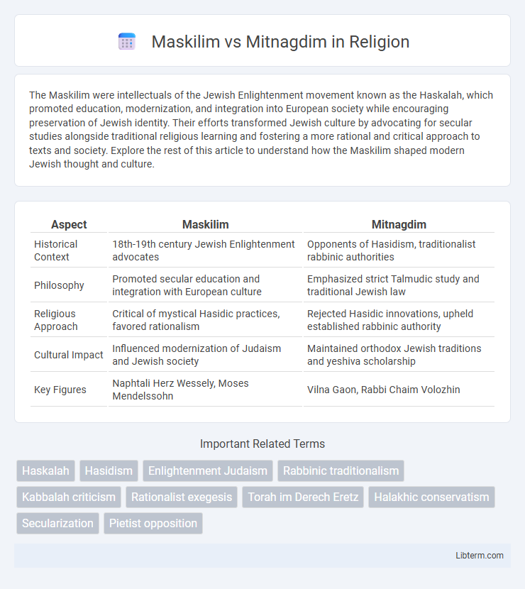 Mitnagdim vs Maskilim in Religion - What is The Difference?