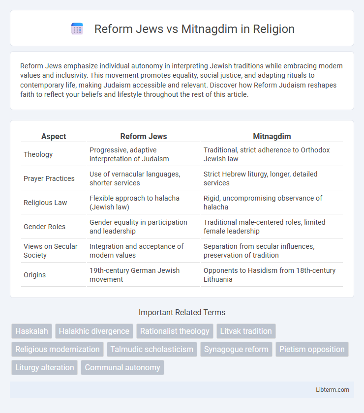 Mitnagdim vs Reform Jews in Religion - What is The Difference?