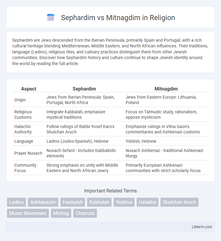 Mitnagdim vs Sephardim in Religion - What is The Difference?