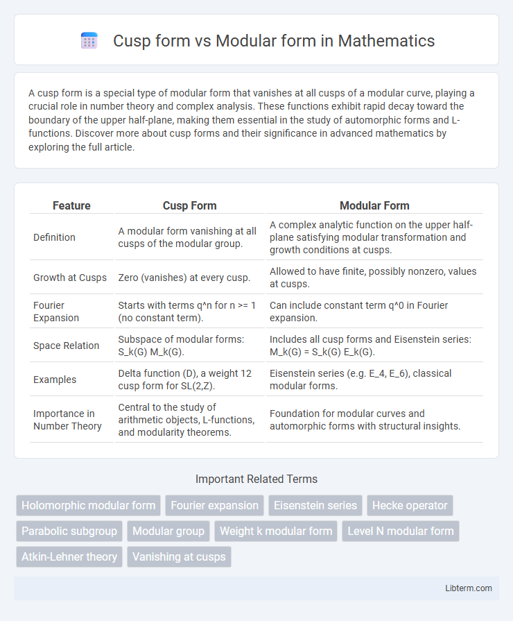 Modular form vs Cusp form in Mathematics - What is The Difference?
