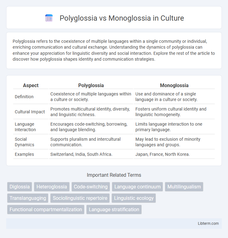 Monoglossia vs Polyglossia in Culture - What is The Difference?