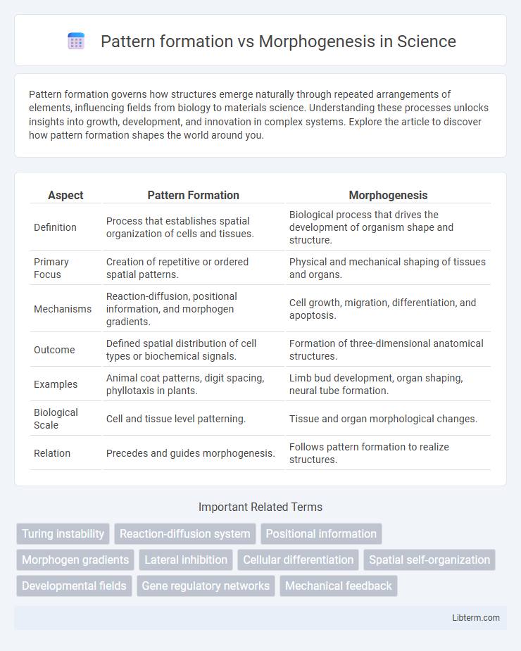 Morphogenesis vs Pattern formation in Science - What is The Difference?