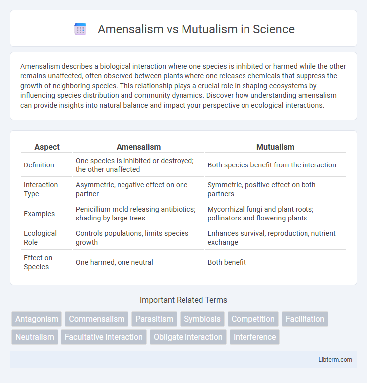 Mutualism vs Amensalism in Science - What is The Difference?