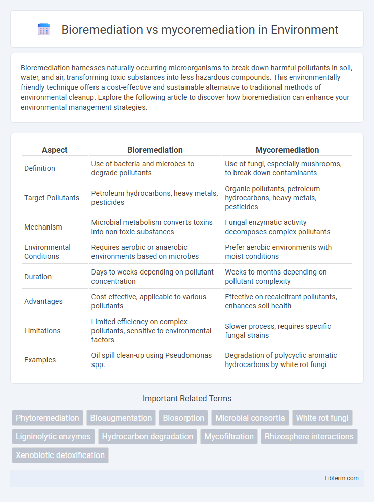 mycoremediation vs Bioremediation in Environment - What is The Difference?