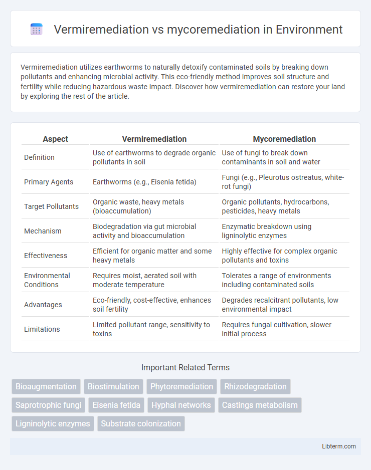 mycoremediation vs Vermiremediation in Environment - What is The Difference?