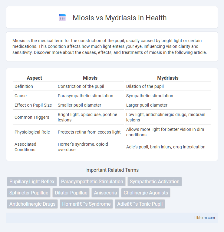 Mydriasis vs Miosis in Health - What is The Difference?