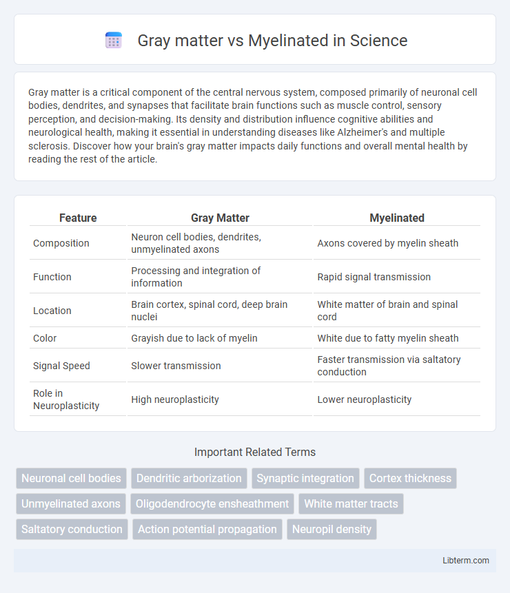 Myelinated vs Gray matter in Science - What is The Difference?