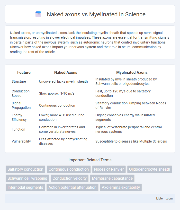Myelinated vs Naked axons in Science - What is The Difference?