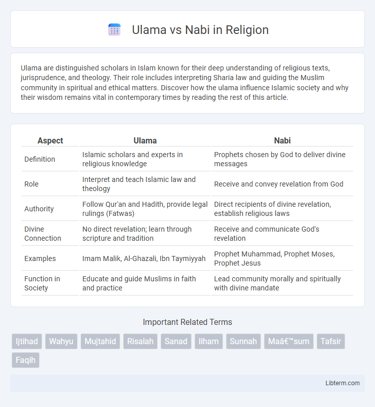 Nabi vs Ulama in Religion - What is The Difference?