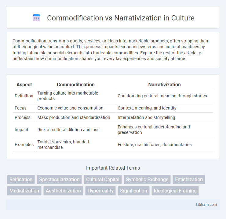 Narrativization vs Commodification in Culture - What is The Difference?