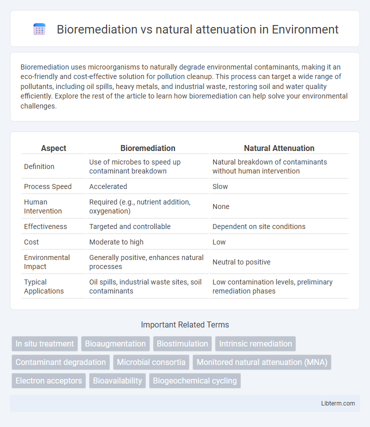 natural attenuation vs Bioremediation in Environment - What is The Difference?