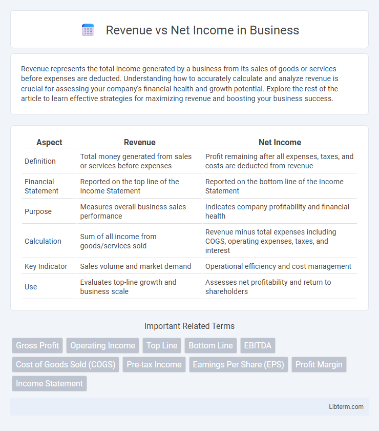 Net Income vs Revenue in Business - What is The Difference?
