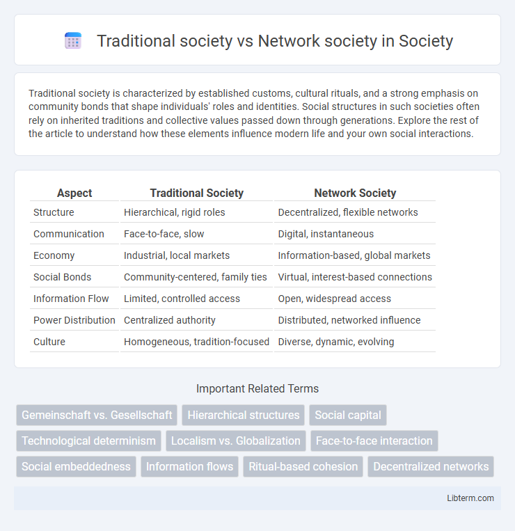 Network society vs Traditional society in Society - What is The Difference?
