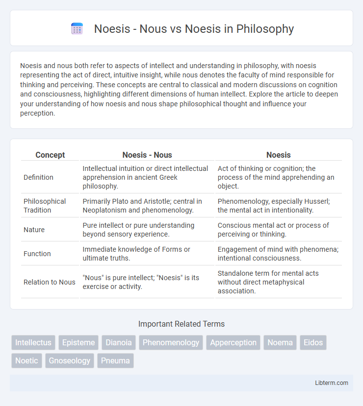 Noesis vs Noesis - Nous in Philosophy - What is The Difference?