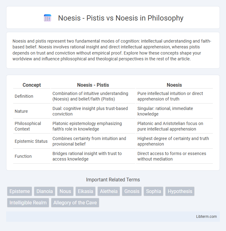 Noesis vs Noesis - Pistis in Philosophy - What is The Difference?