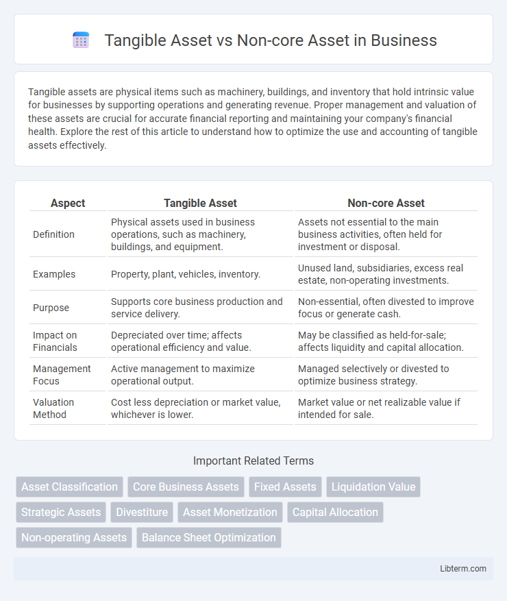 Non-core Asset vs Tangible Asset in Business - What is The Difference?