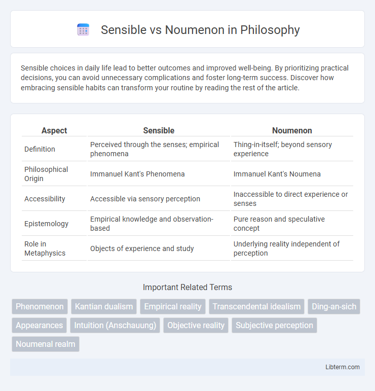 Noumenon vs Sensible in Philosophy - What is The Difference?