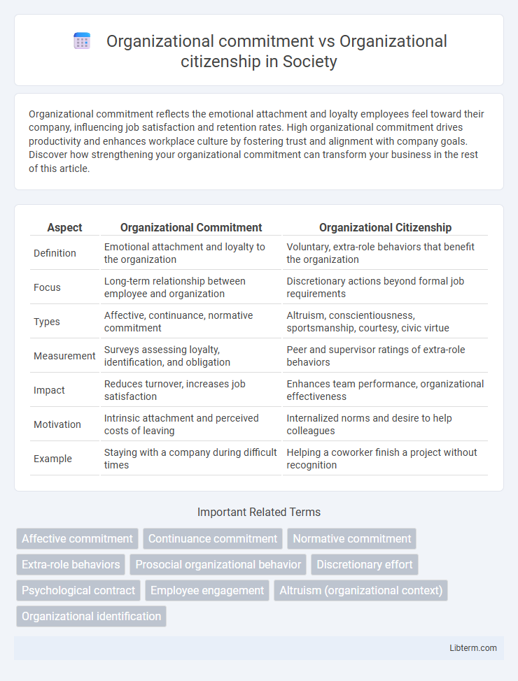 Organizational citizenship vs Organizational commitment in Society - What is The Difference?