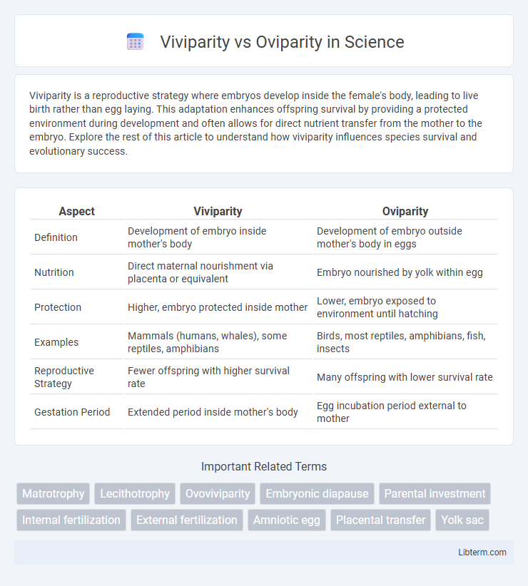 Oviparity vs Viviparity in Science - What is The Difference?