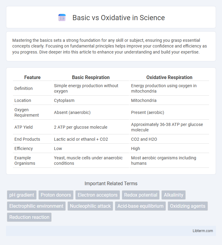 Oxidative vs Basic in Science - What is The Difference?