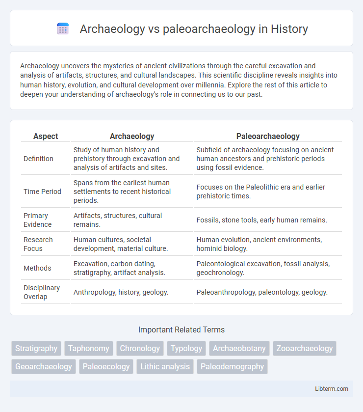 paleoarchaeology vs Archaeology in History - What is The Difference?
