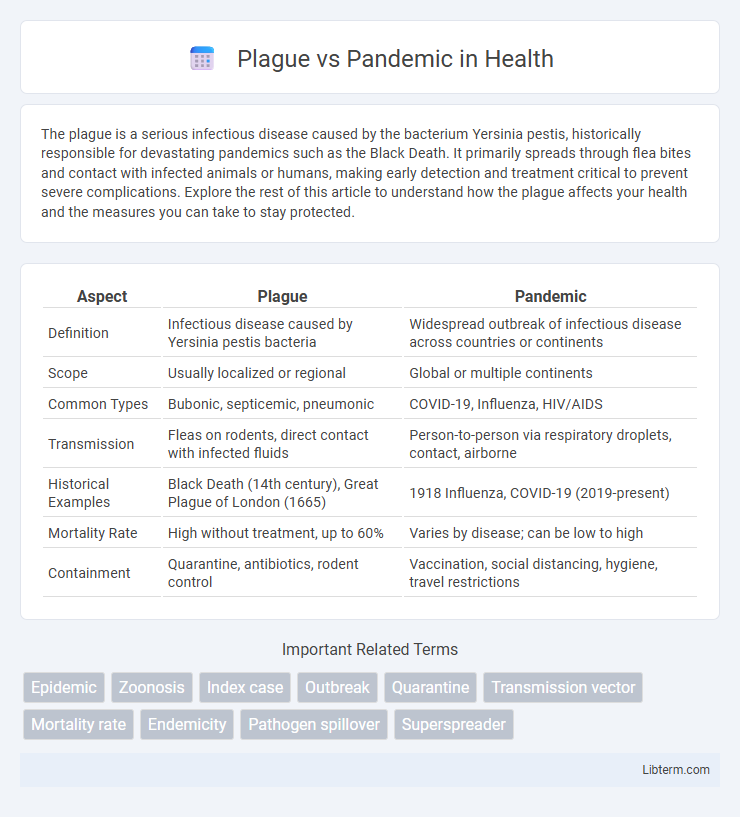 Pandemic vs Plague in Health - What is The Difference?