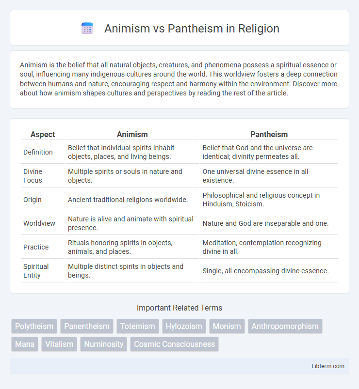 Pantheism vs Animism in Religion - What is The Difference?