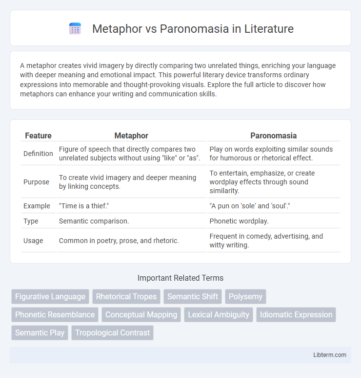 Paronomasia vs Metaphor in Literature - What is The Difference?