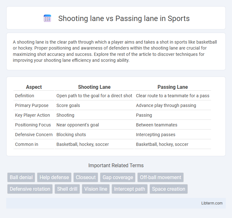 Passing lane vs Shooting lane in Sports - What is The Difference?