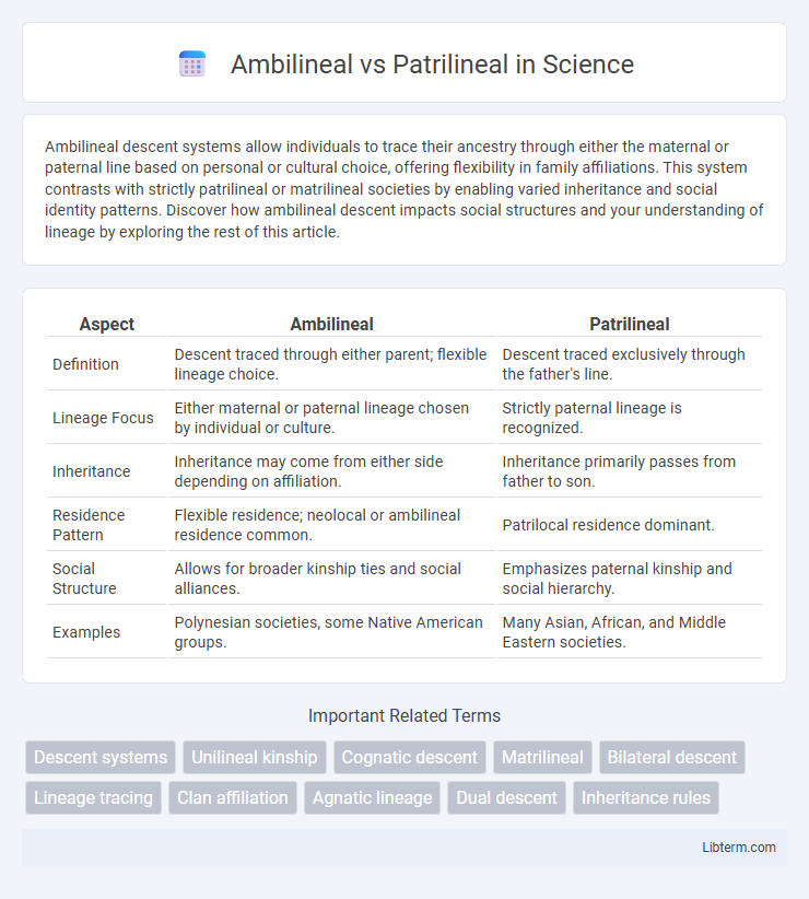 Patrilineal vs Ambilineal in Science - What is The Difference?