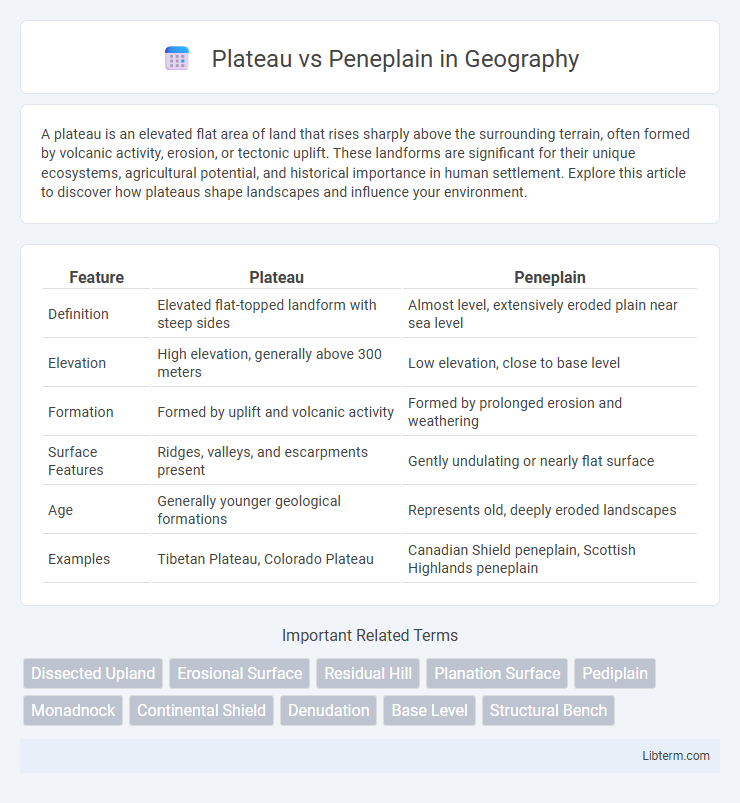 Peneplain vs Plateau in Geography - What is The Difference?