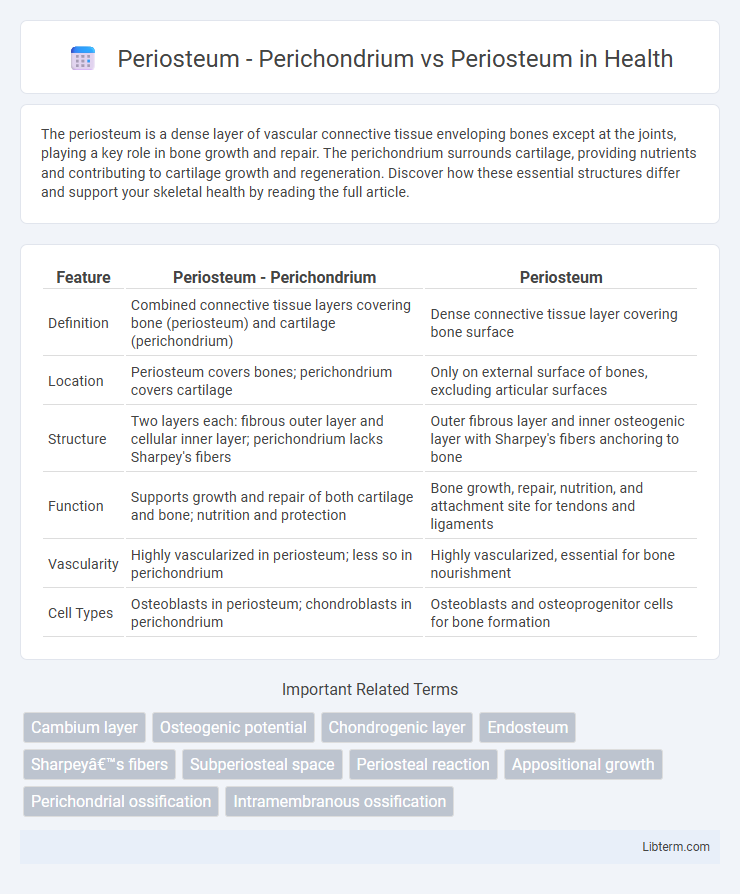 Periosteum vs Periosteum - Perichondrium in Health - What is The Difference?