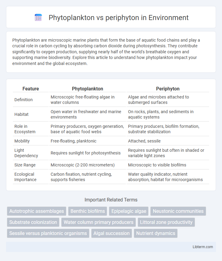 periphyton vs Phytoplankton in Environment - What is The Difference?