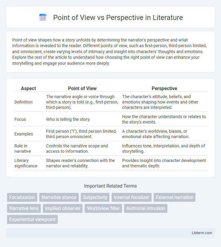 Perspective vs Point of View in Literature - What is The Difference?