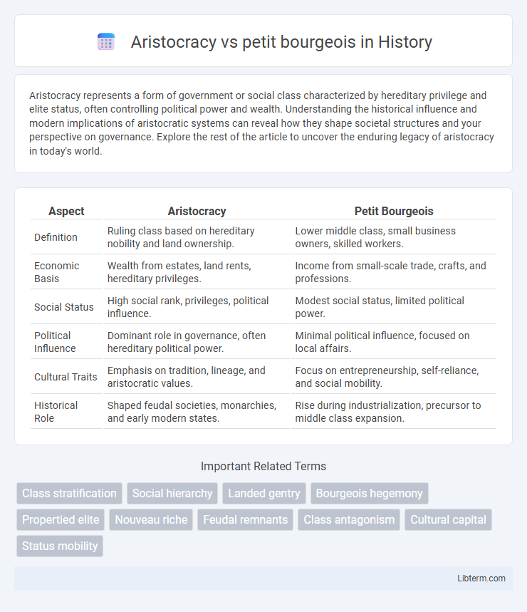 petit bourgeois vs Aristocracy in History - What is The Difference?