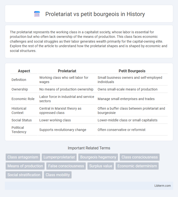 petit bourgeois vs Proletariat in History - What is The Difference?